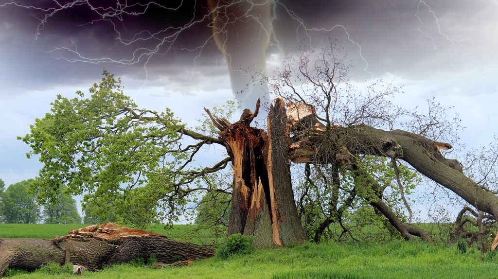 tornado, storm, tree branch-1193184.jpg